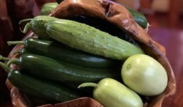 最新的网红吃瓜视频下载,揭秘娱乐圈最新热点事件幕后真相