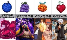 航海王最新大爆料图鉴,揭秘最新大爆料图鉴，探寻神秘新篇章